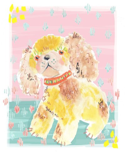 Spaniel by Jo Chambers